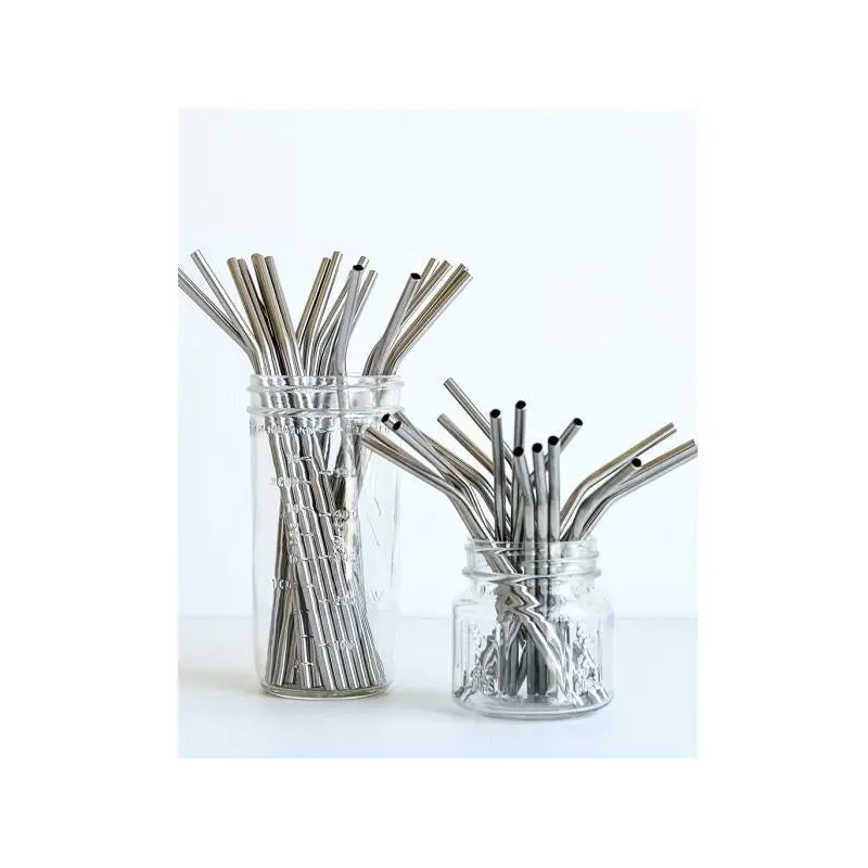 Reusable Stainless Steel Straw