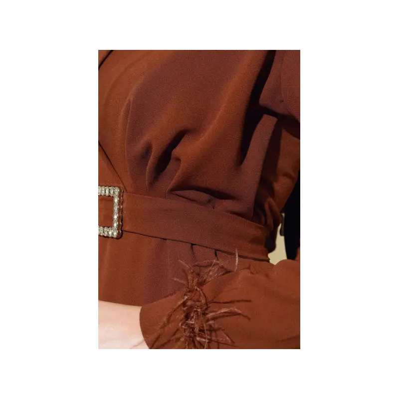 Belted Dress With Feather Sleeve End, Cinnamon