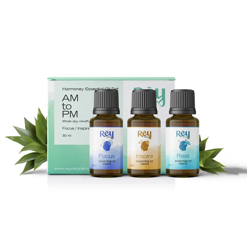 Rey Naturals 100% Natural Aroma Diffuser Essential Oil Set - Rest Focus Inspire - 3 Aromatherapy Blends for Home Fragrance | Stress relief and Headache relief (Vanilla, Ylang Ylang & Lavender)